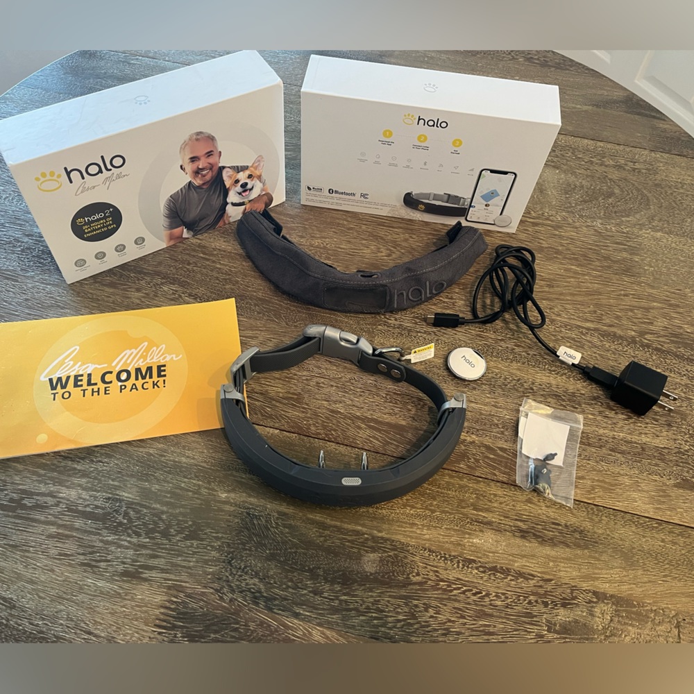 Halo 2+ GPS dog collar and beacon - Cesar Millan